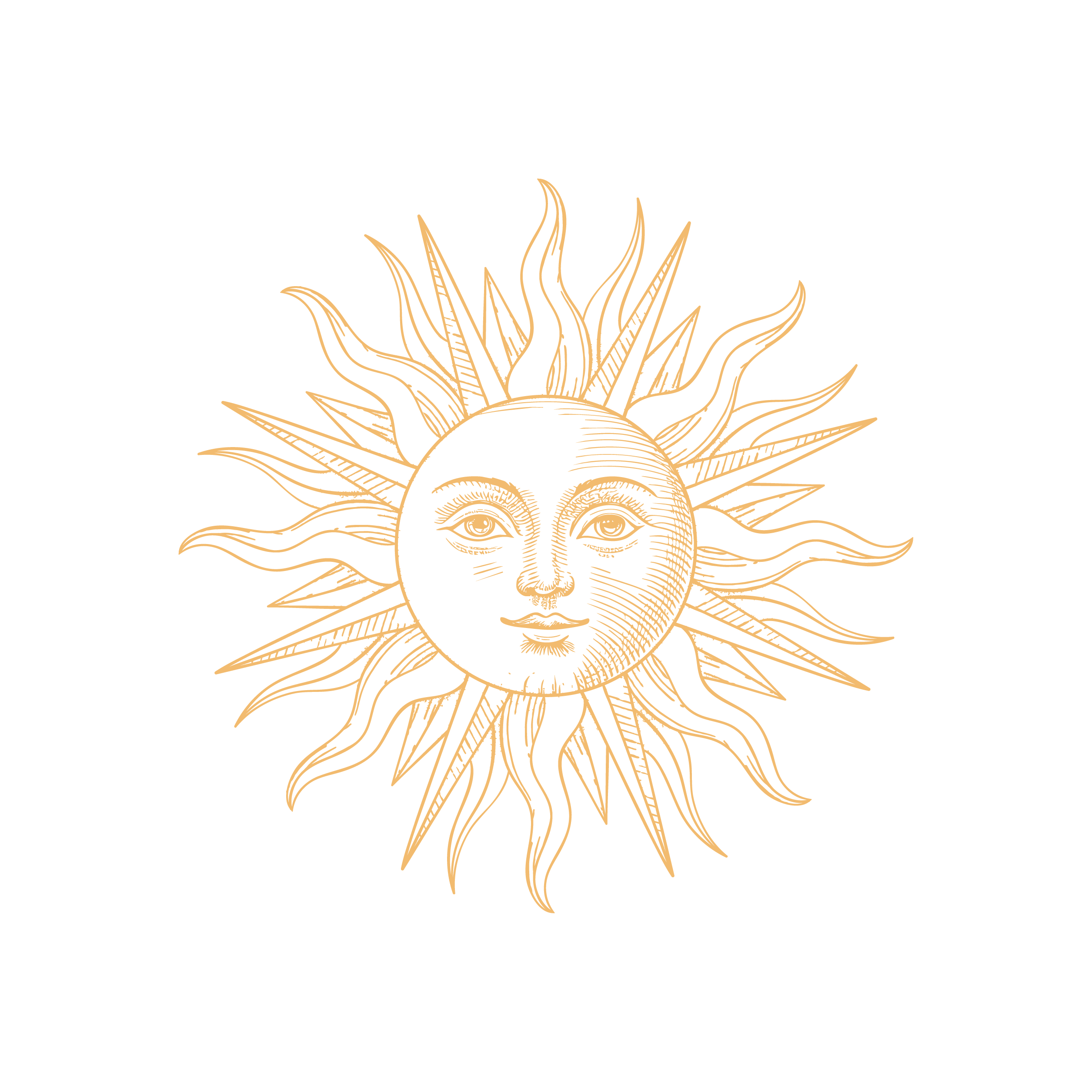 Met <span>trots</span> delen we<br />onze samenwerkingen